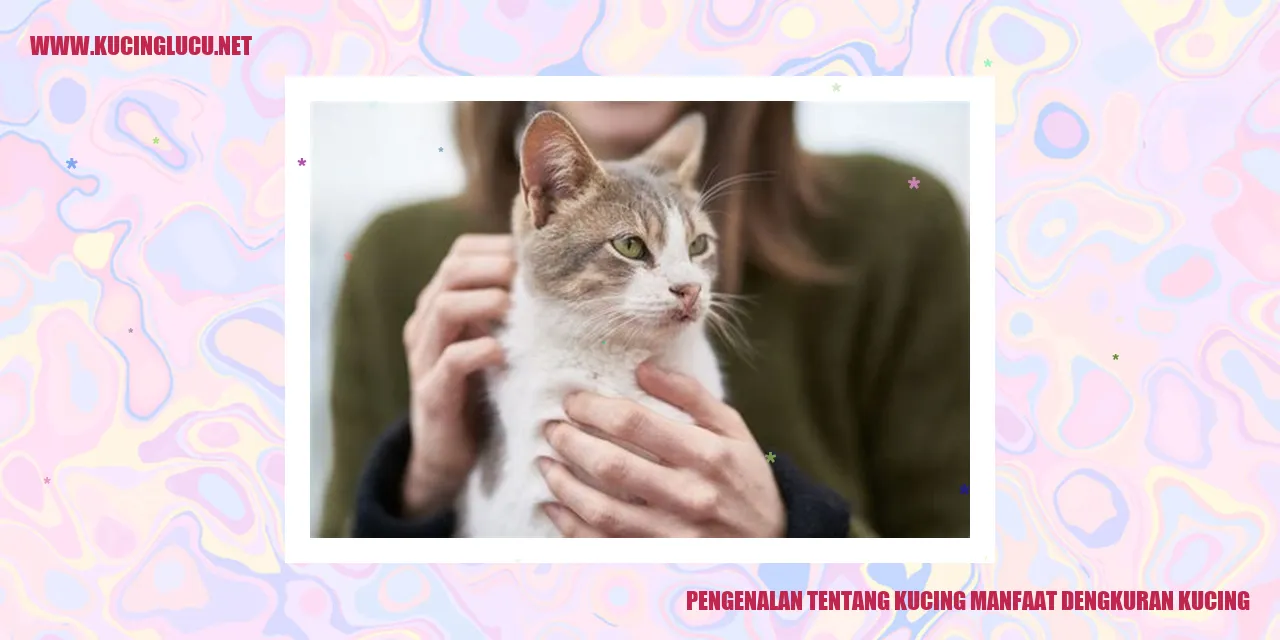 Kucing Menikmati Kesendirian