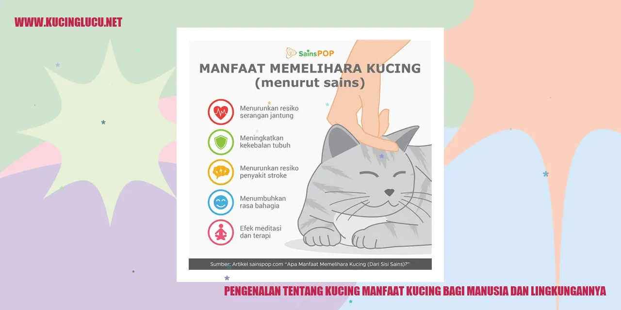 Gambar Kucing yang menggemaskan