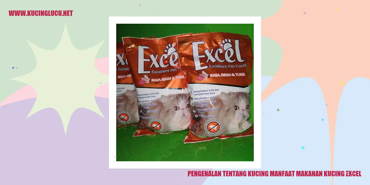 Gambar Kucing