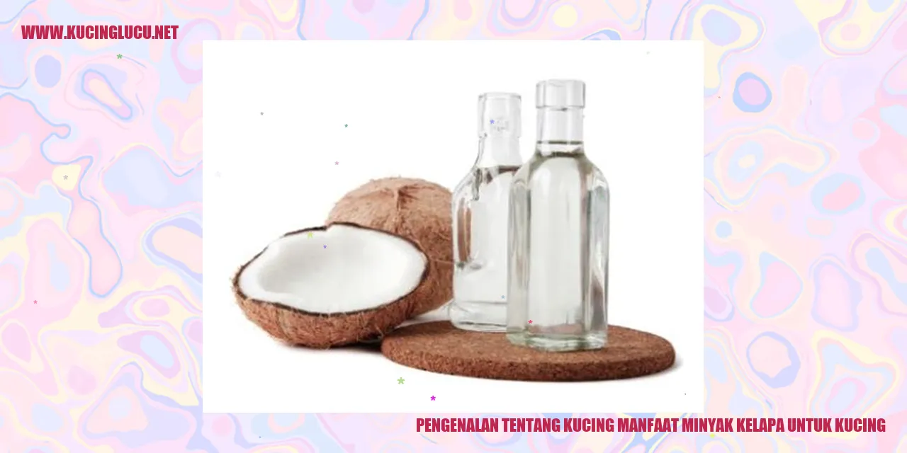 Gambar Kucing yang Menggemaskan
