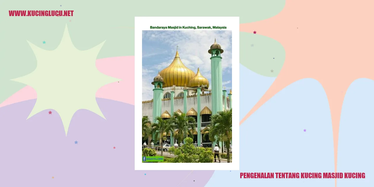 Kucing Masjid Kucing