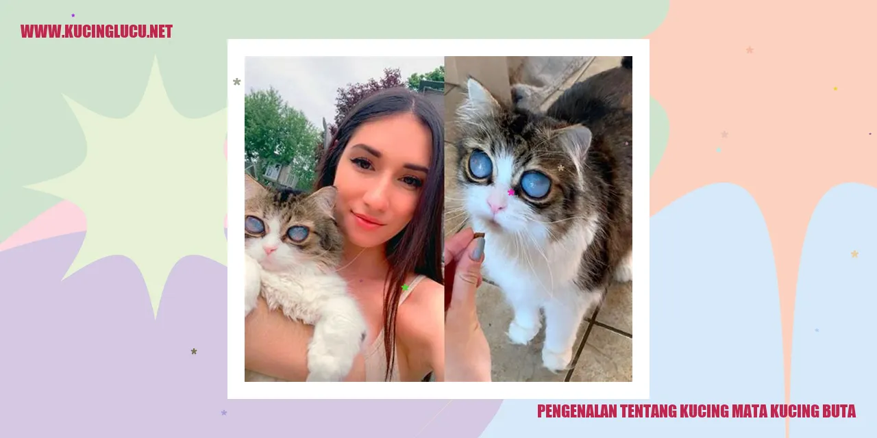 Kucing mata kucing buta