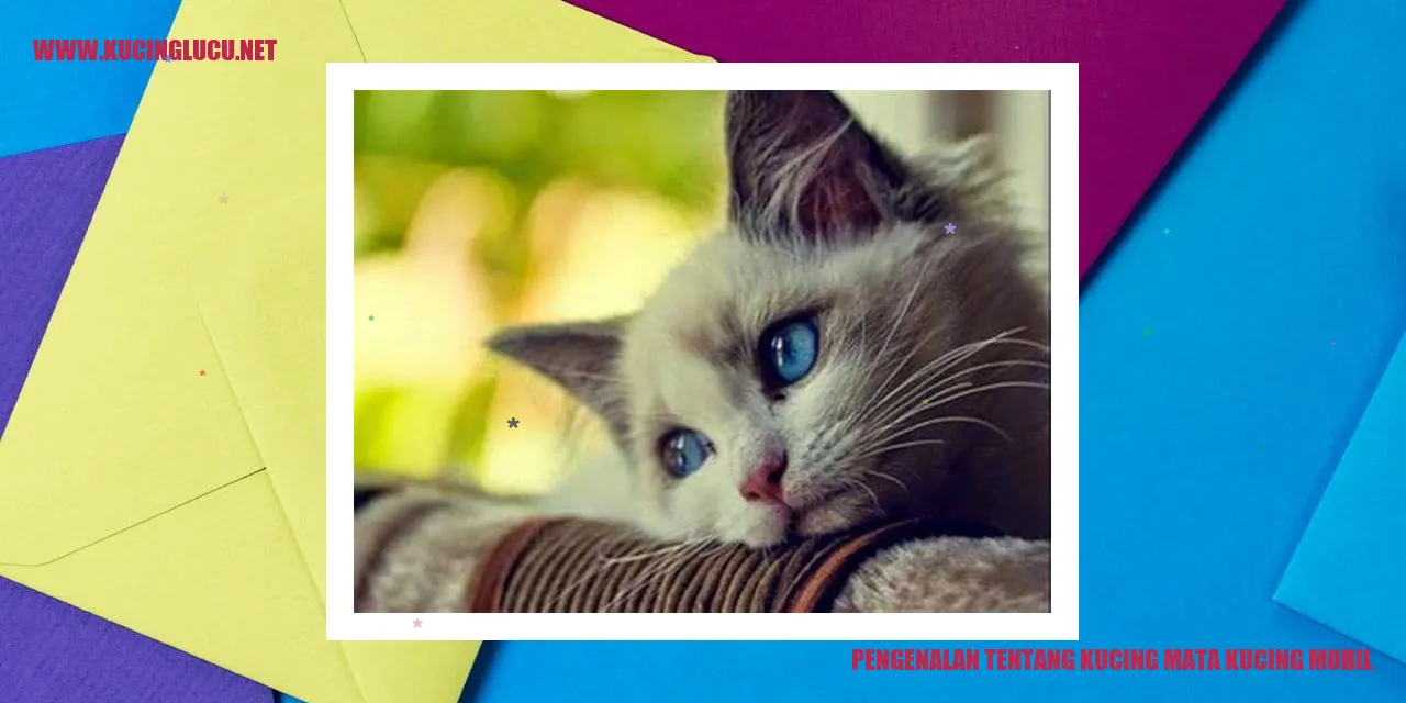Si Kucing Mata Kucing Mobil