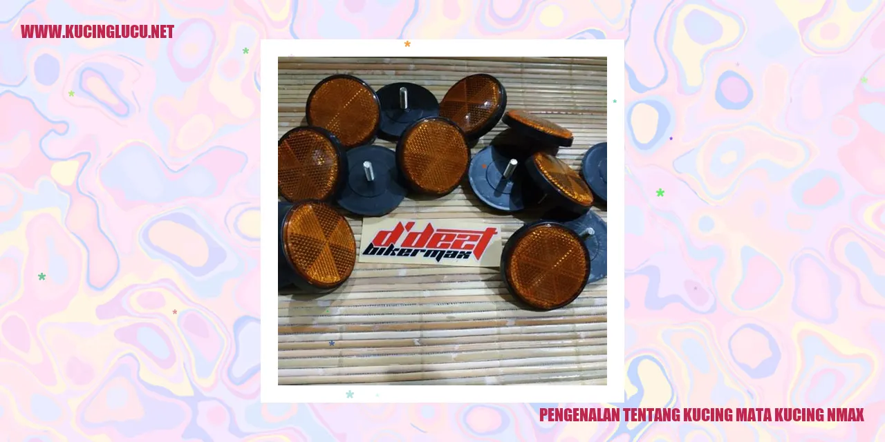Gambar Kucing Mata Kucing Nmax