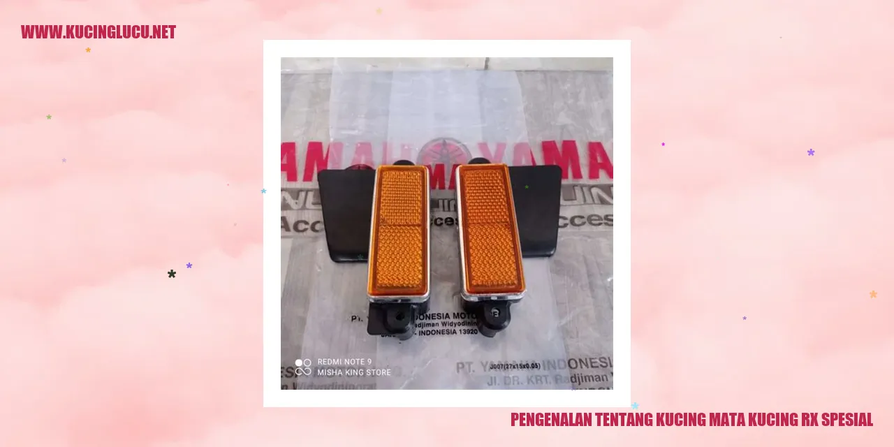 Gambar Kucing mata kucing rx spesial