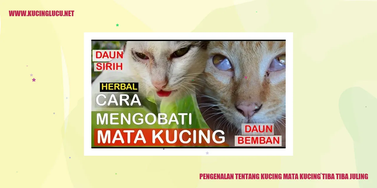 Kucing mata kucing juling