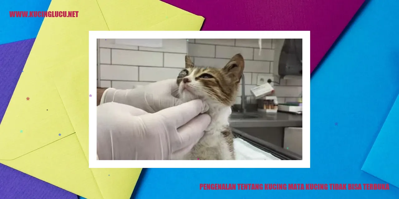 Gambar Kucing Mata Tertutup