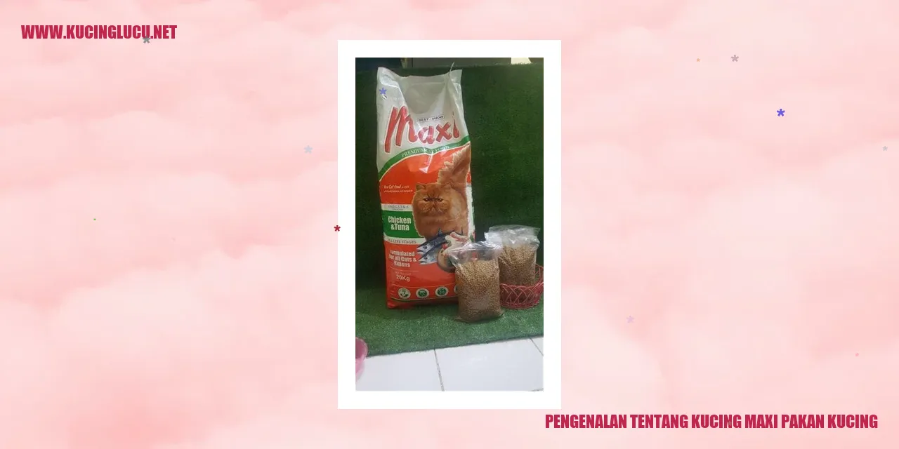 Kucing Maxi Pakan Kucing