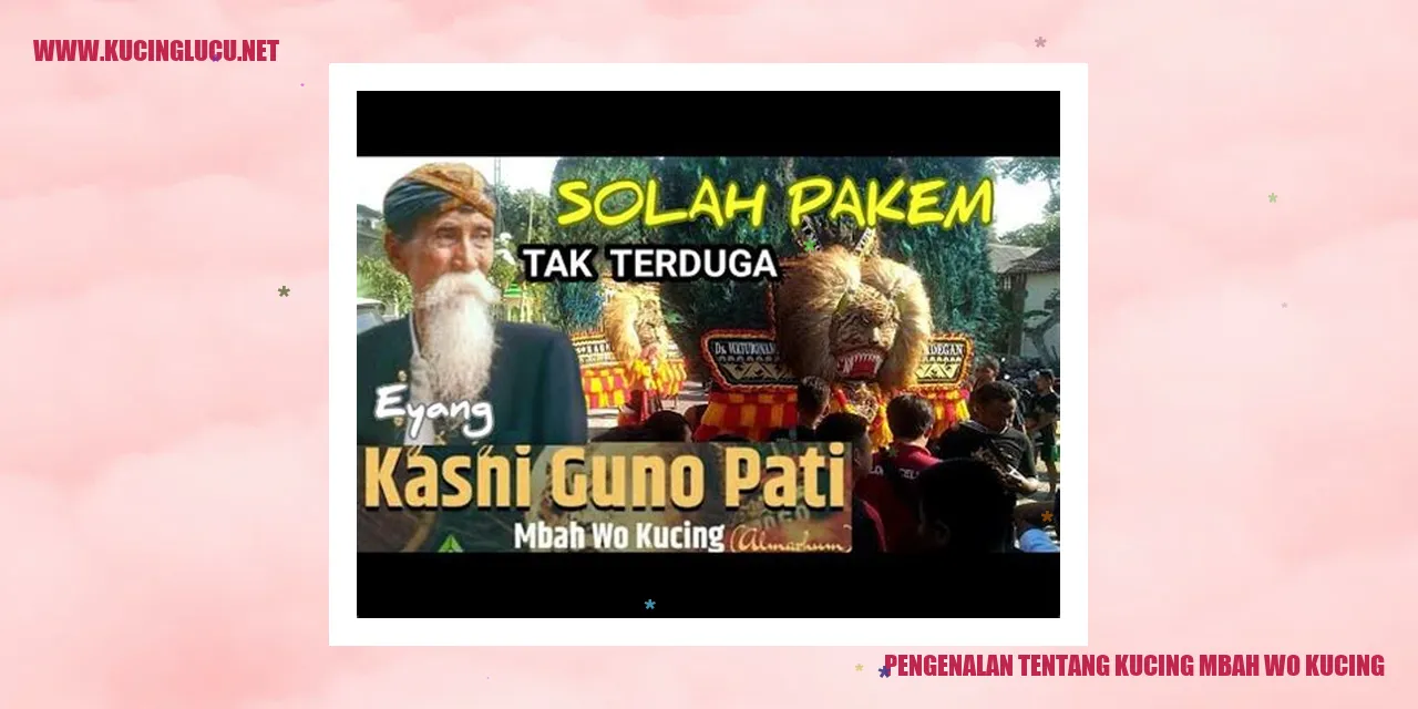 Gambar Kucing Mbah Wo Kucing