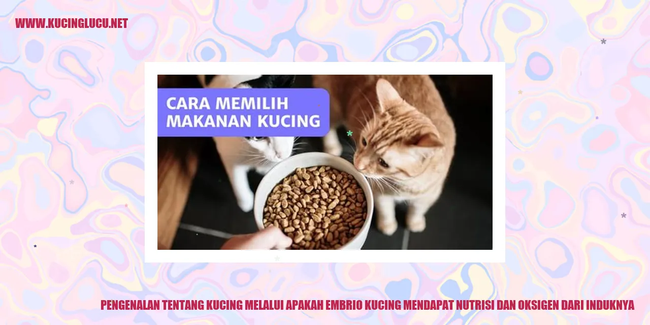 Pengenalan tentang Kucing melalui apakah embrio kucing mendapat nutrisi dan oksigen dari induknya