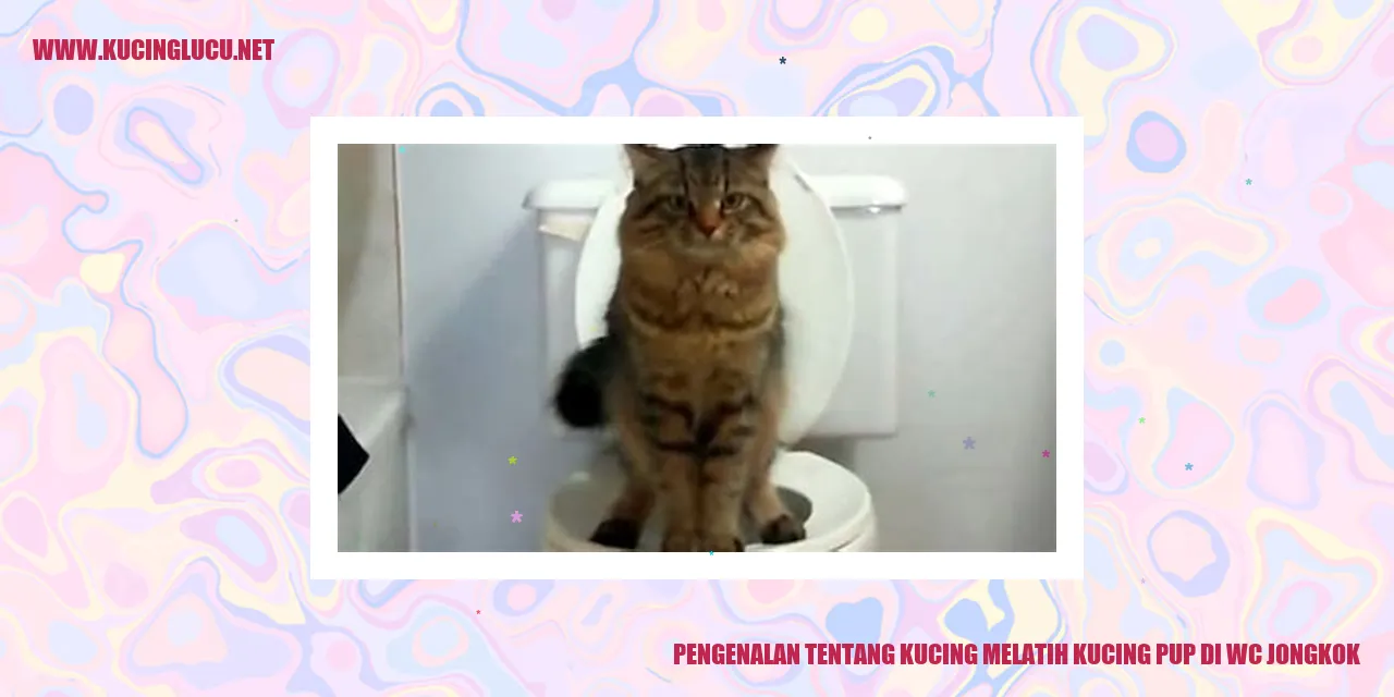 Kucing pup di wc jongkok
