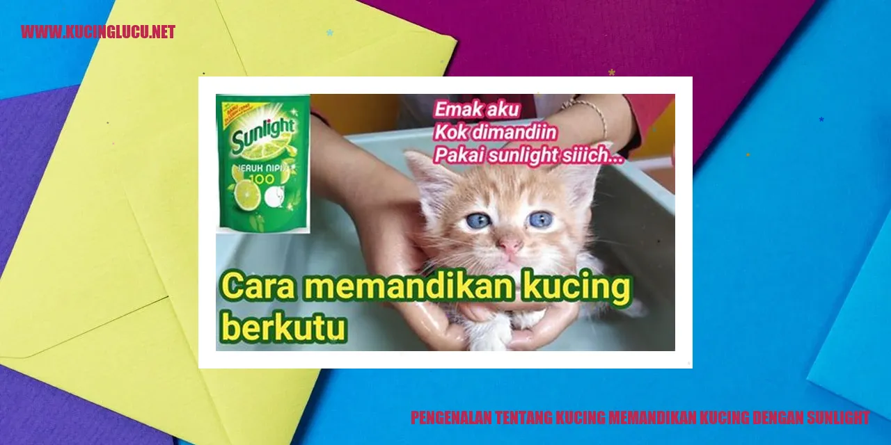 Kucing dengan sunlight
