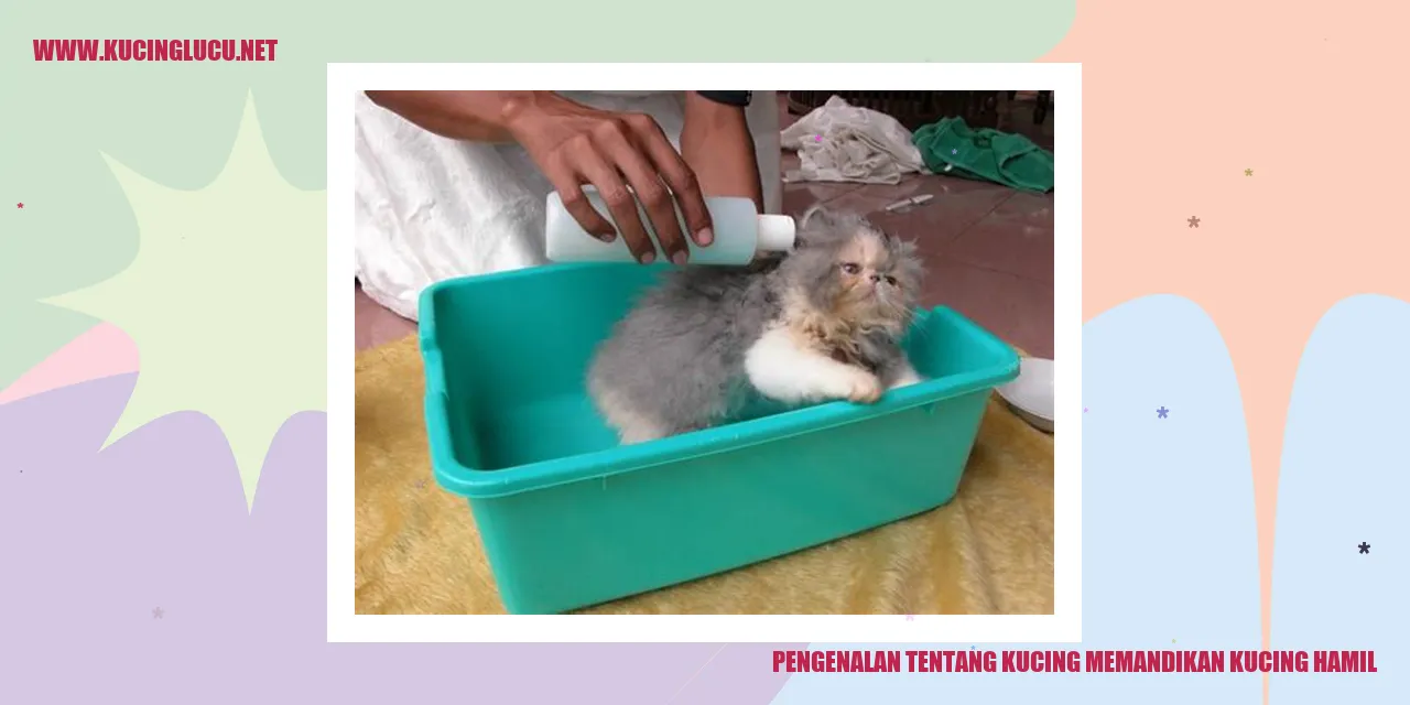 Kucing Hamil