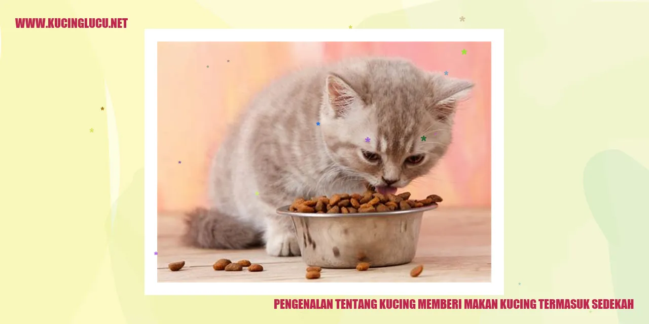 Gambar kucing makan