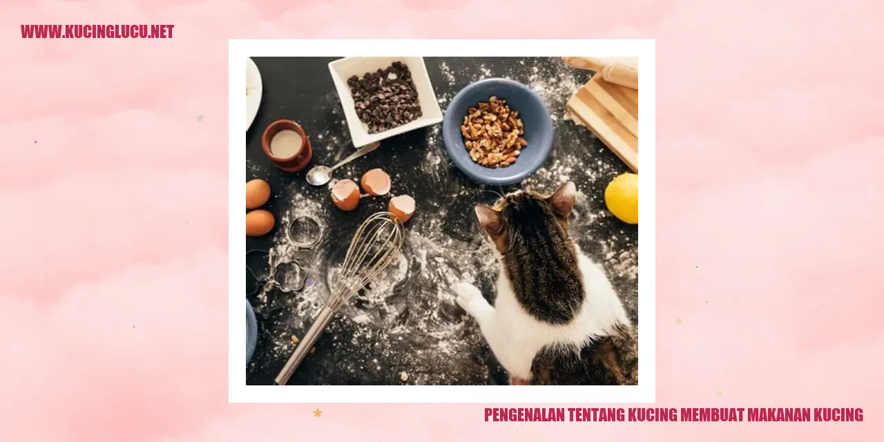 Pengenalan tentang Kucing membuat makanan kucing