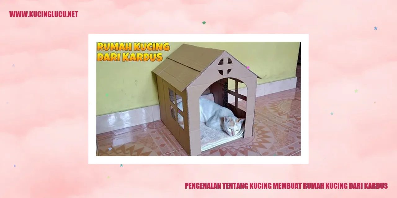 Kucing membuat rumah kucing dari kardus