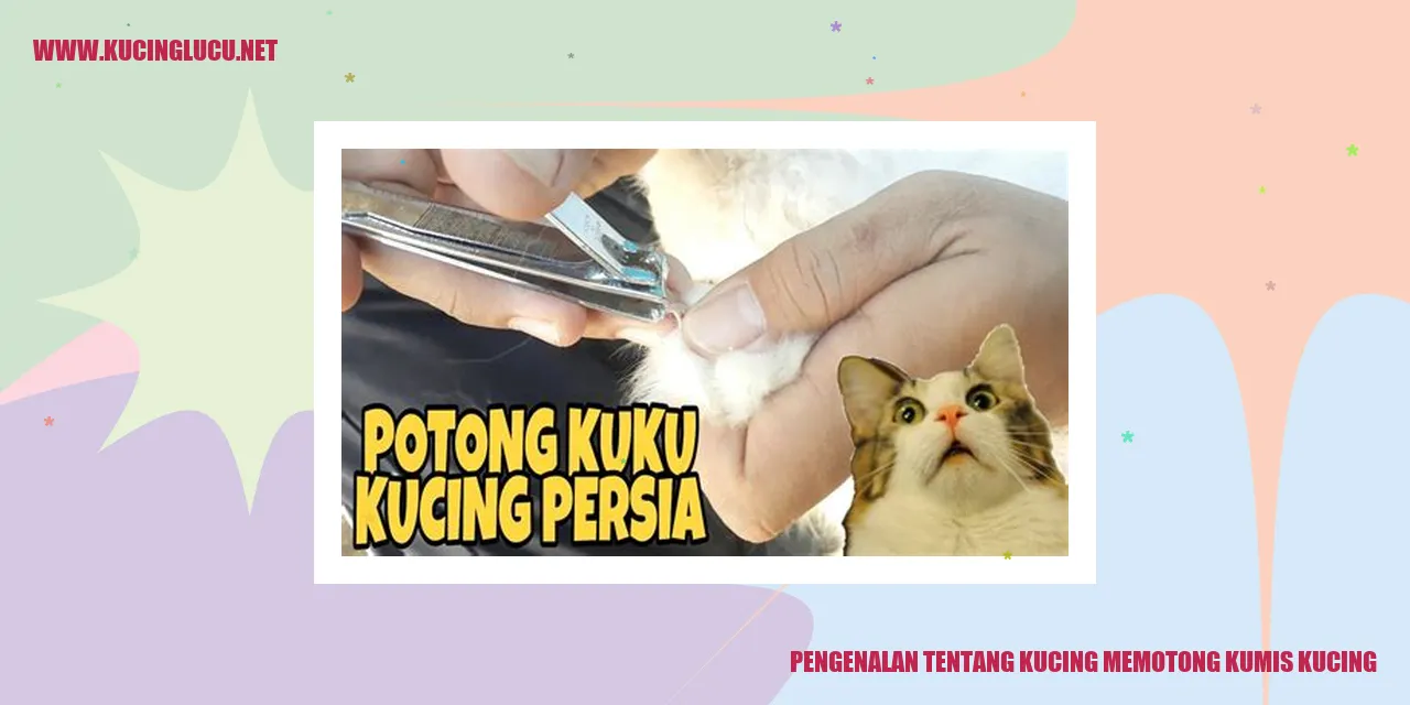 Kucing Memotong Kumis Kucing