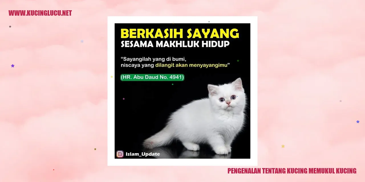 Ilustrasi Kucing