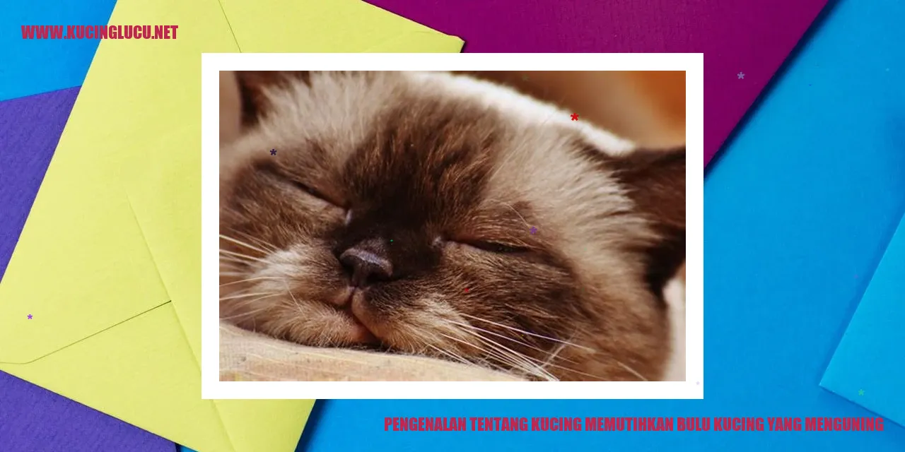 Bulu Kucing yang Menguning