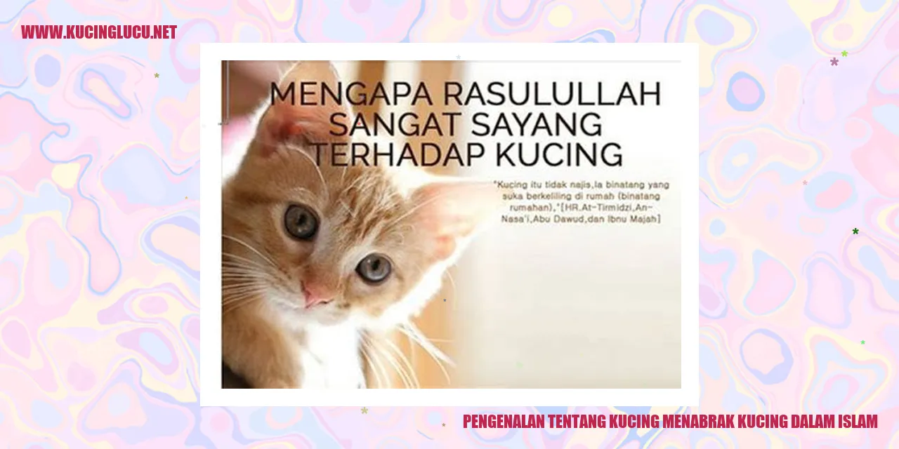 Kucing Menabrak Kucing dalam Islam