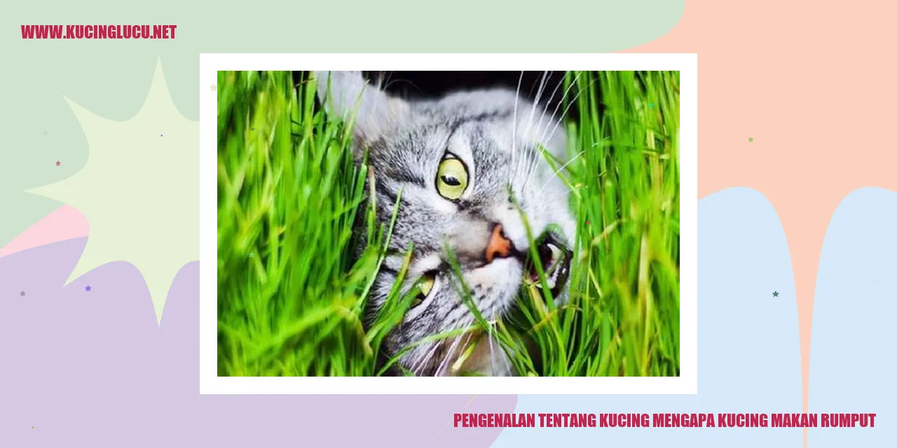 Gambar Kucing Makan Rumput