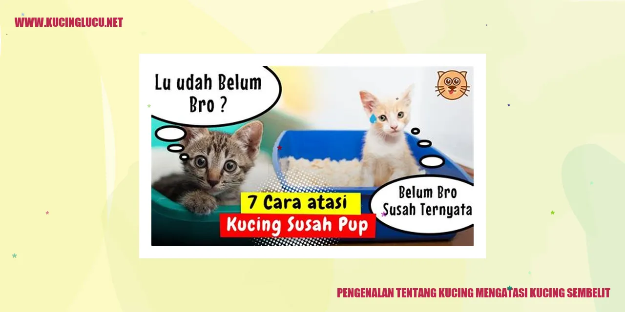 Kucing Mengatasi Kucing Sembelit