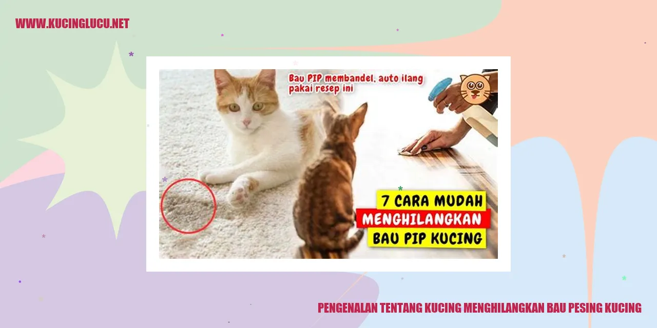 Kucing menghilangkan bau pesing kucing