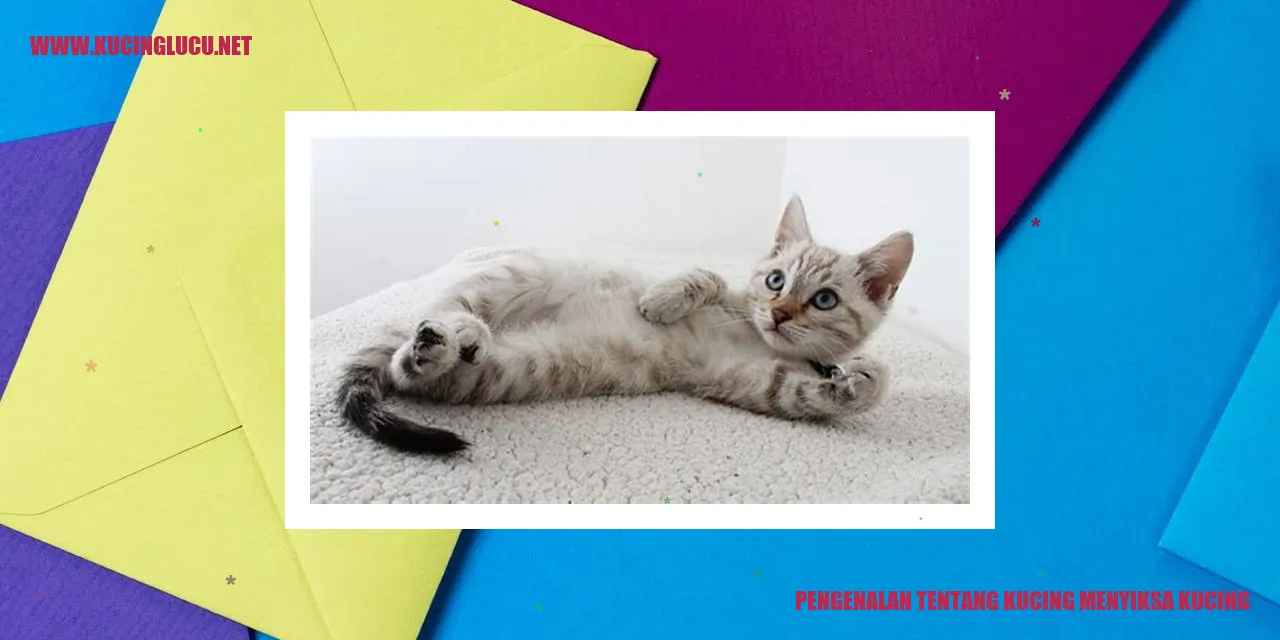 Gambar Kucing