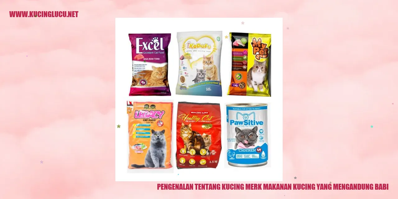 Gambar Kucing