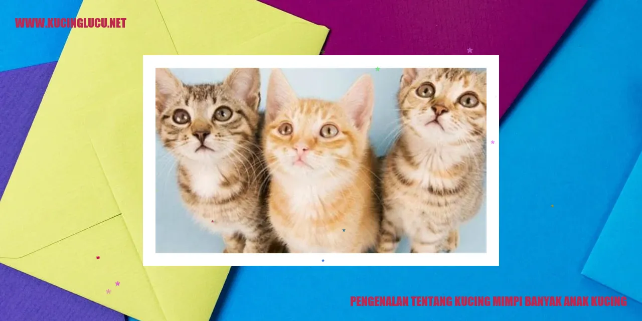 Gambar Kucing