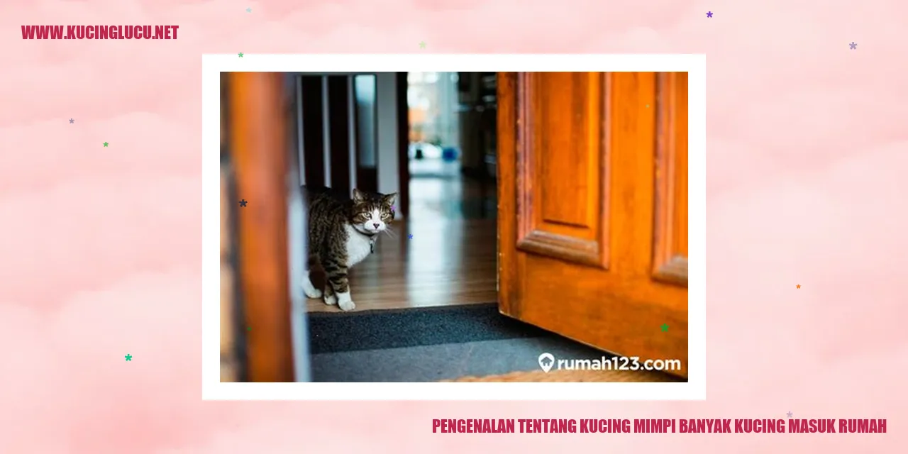 Ilustrasi Kucing Mimpi