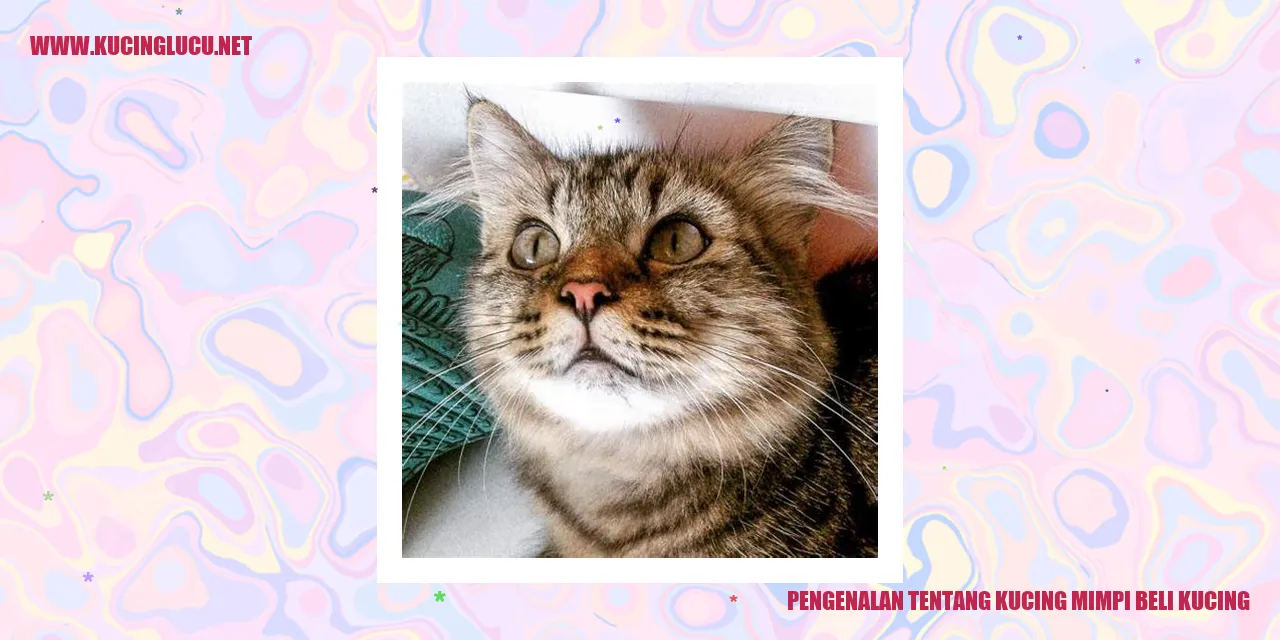 Gambar kucing