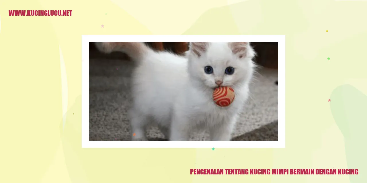 Kucing mimpi bermain dengan kucing
