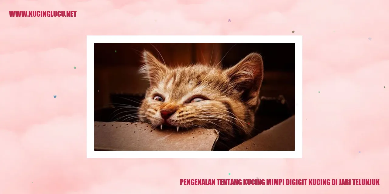 Kucing Mimpi Digigit Kucing di Jari Telunjuk