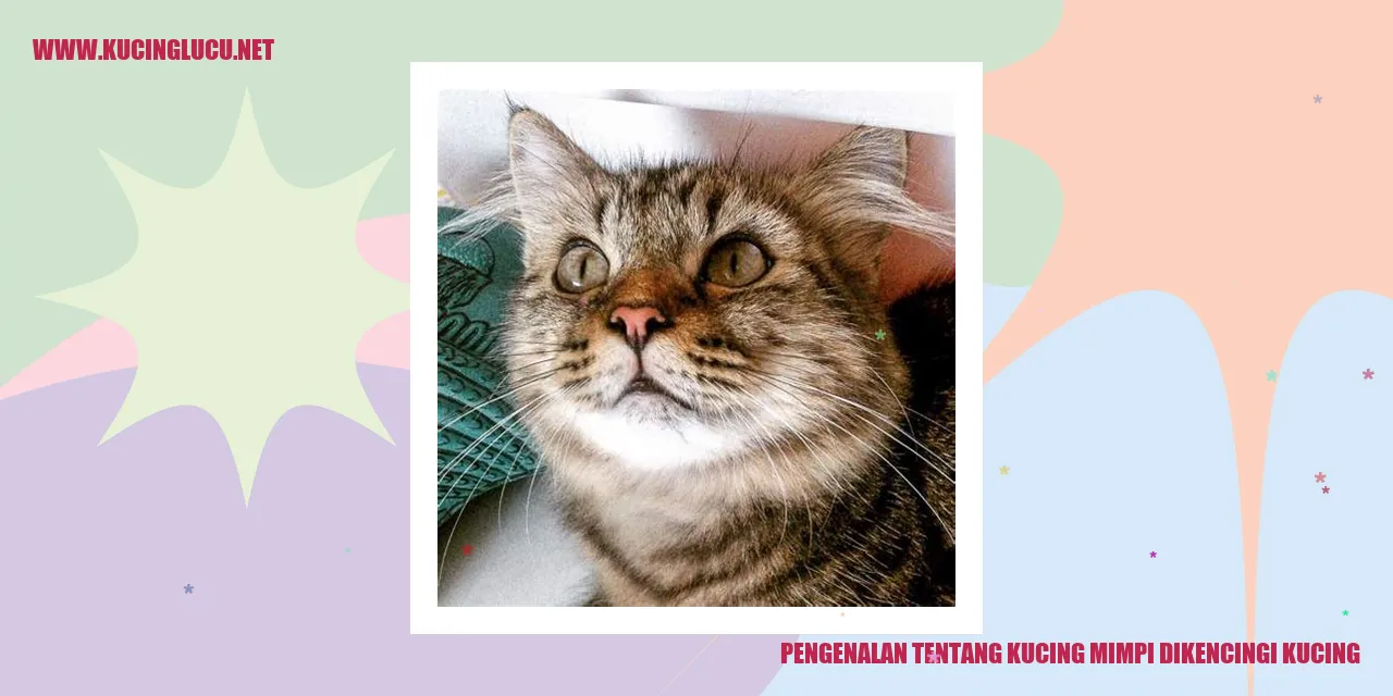 Gambar Kucing