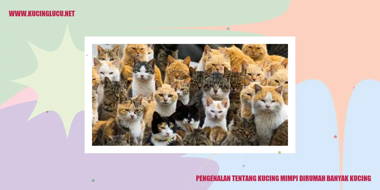 Keberlimpahan Kucing