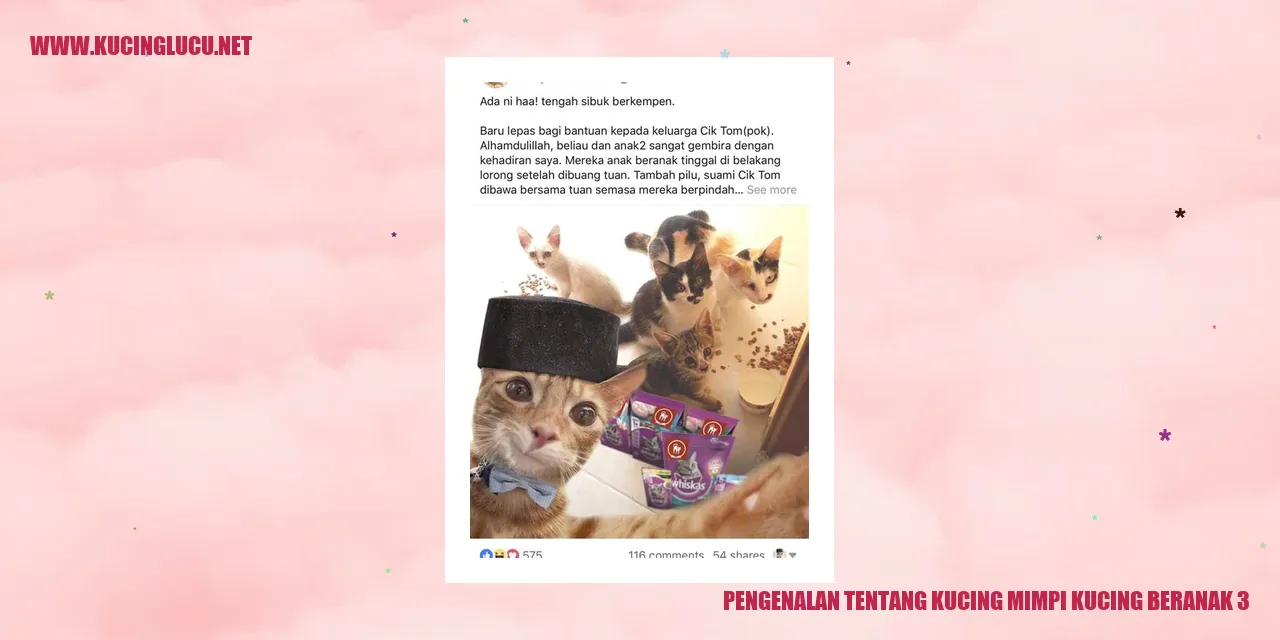 Gambar Kucing Mimpi Kucing Beranak 3