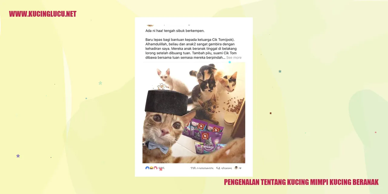 Kucing mimpi kucing beranak
