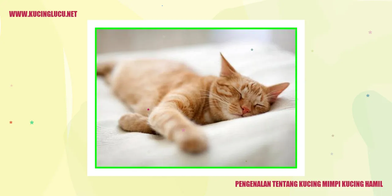 Kucing Foto