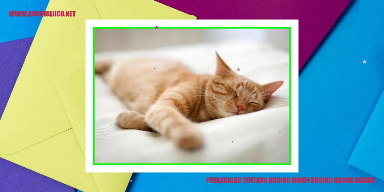 Gambar Kucing