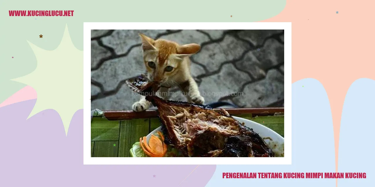 Gambar Kucing Memakam Kucing