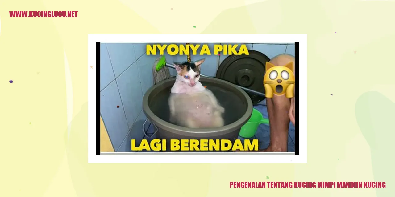 Kucing yang sedang mandi