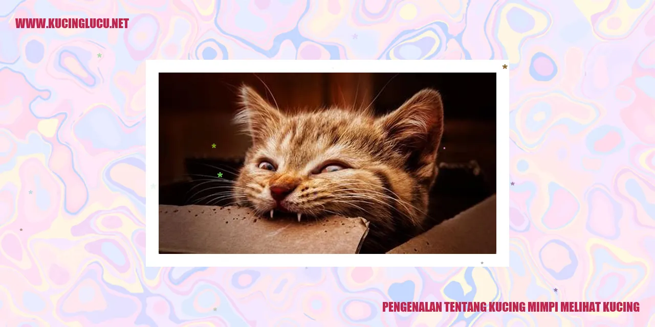 Kucing Mimpi Melihat Kucing