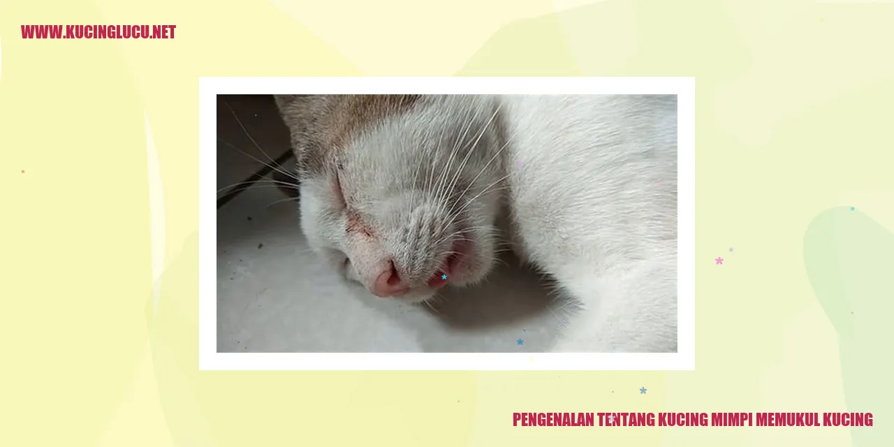 Gambar kucing mimpi memukul kucing