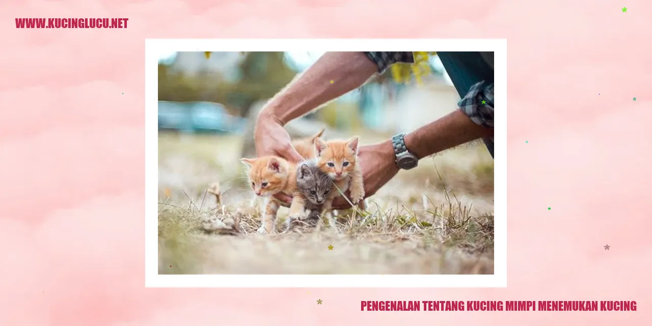 Kucing mimpi menemukan kucing