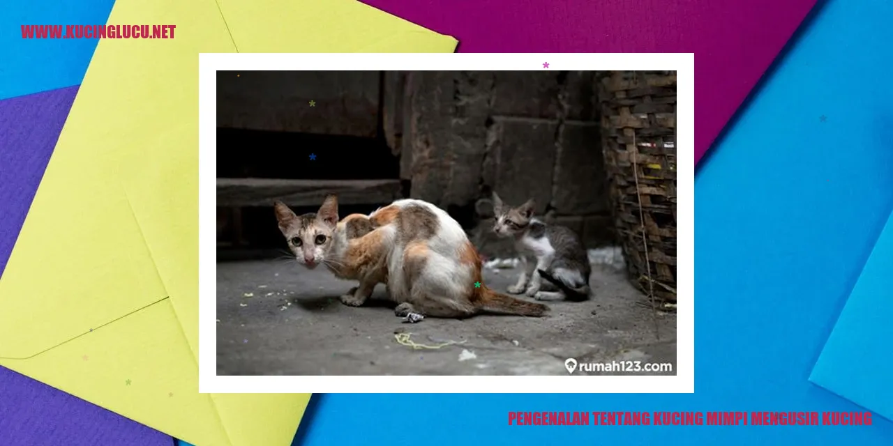 Kucing Mimpi Mengusir Kucing