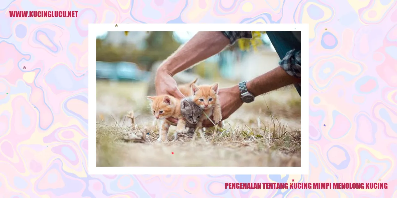 Gambar Kucing Mimpi Menolong Kucing