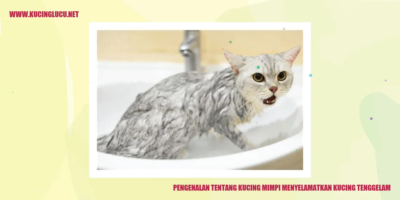 Kucing menyelamatkan kucing tenggelam