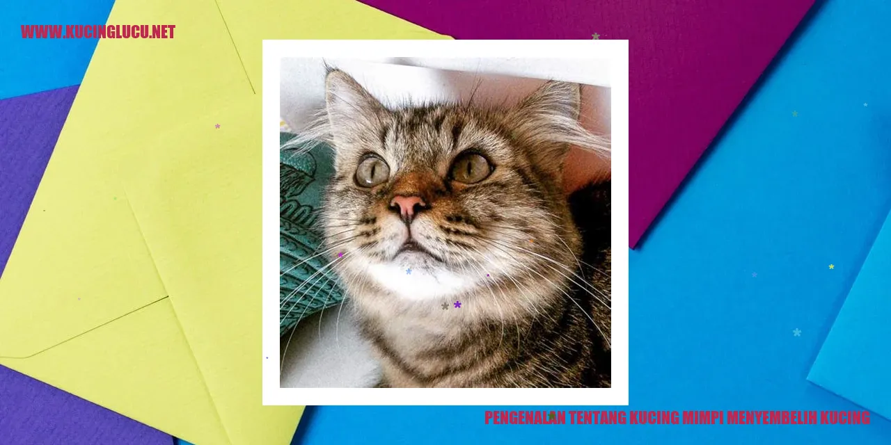 Gambar kucing mimpi menyembelih kucing