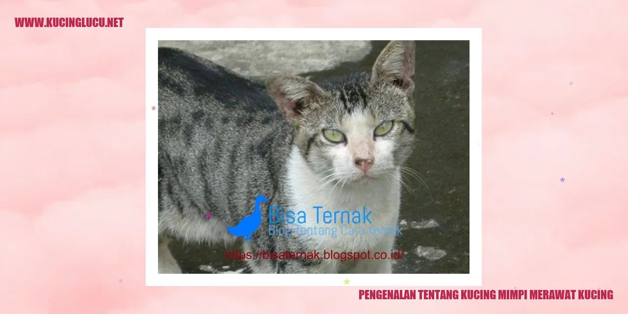 Gambar Kucing Mimpi